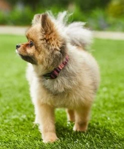 Frisco Red Boho Dog Collar 5 Frisco Red Boho Dog Collar -Frisco Sales 2024 247035 PT3. SY630 V1606863749