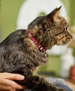 Frisco Red Boho Cat Collar 10 Frisco Red Boho Cat Collar -Frisco Sales 2024 247054 PT4. SY630 V1606870053