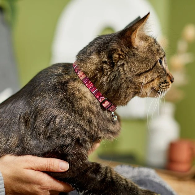 Frisco Red Boho Cat Collar 6 Frisco Red Boho Cat Collar - Image 4