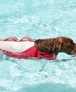 Frisco Rugged Dog Life Jacket 10 Frisco Rugged Dog Life Jacket -Frisco Sales 2024 247878 PT8. SY630 V1616505716