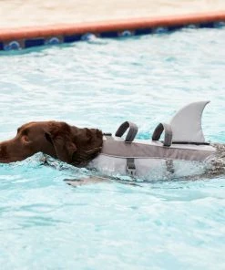 Frisco Shark Dog Life Jacket 19 Frisco Shark Dog Life Jacket -Frisco Sales 2024 247884 PT8. SY630 V1616505926