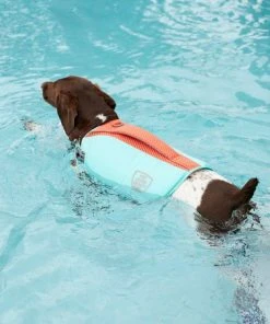 Frisco Active Dog Life Jacket 19 Frisco Active Dog Life Jacket -Frisco Sales 2024 247890 PT8. SY630 V1616505897