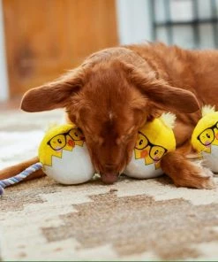 Frisco Easter Hipster Chicks Plush with Rope Dog Toy -Frisco Sales 2024 248031 PT5. SY630 V1608767875