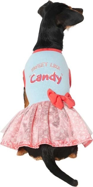 Frisco Sweet Like Candy Dog & Cat Dress 5 Frisco Sweet Like Candy Dog & Cat Dress - Image 3