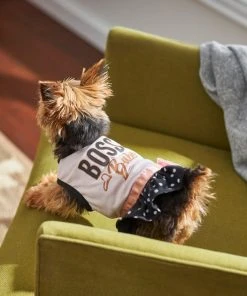 Frisco Boss Babe Dog & Cat Dress 11 Frisco Boss Babe Dog & Cat Dress -Frisco Sales 2024 248673 PT7. SY630 V1613586417