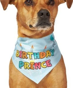 Frisco Birthday Prince Dog & Cat Bandana -Frisco Sales 2024 248694 PT3. SY630 V1633065977
