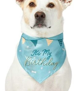 Frisco It's My Birthday Dog & Cat Bandana, Blue -Frisco Sales 2024 248696 PT2. SY630 V1633069886