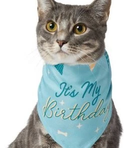 Frisco It's My Birthday Dog & Cat Bandana, Blue -Frisco Sales 2024 248696 PT3. SY630 V1633061530