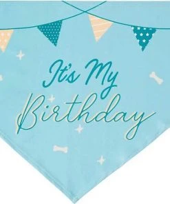 Frisco It's My Birthday Dog & Cat Bandana, Blue -Frisco Sales 2024 248696 PT4. SY630 V1633057291