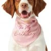 Frisco It's My Birthday Dog & Cat Bandana, Pink -Frisco Sales 2024 248702 MAIN. SY630 V1614611594