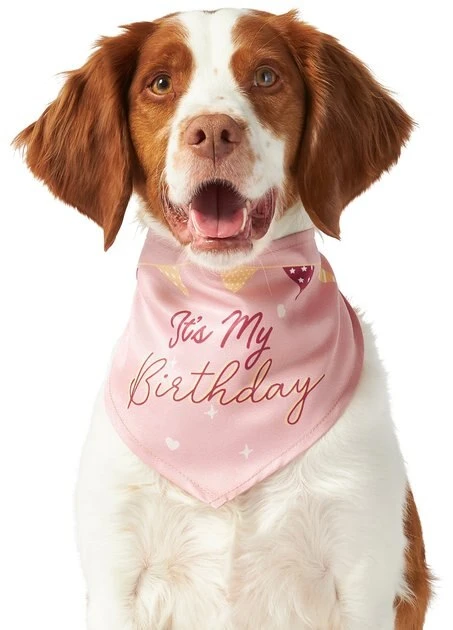 Frisco It's My Birthday Dog & Cat Bandana, Pink, X-Small/Small Frisco It's My Birthday Dog & Cat Bandana, Pink -Frisco Sales 2024 248702 MAIN. SY630 V1614611594