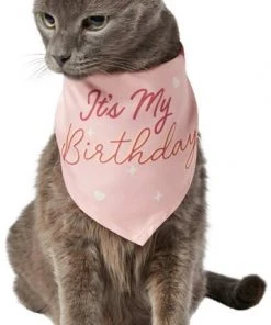 Frisco It's My Birthday Dog & Cat Bandana, Pink 4 Frisco It's My Birthday Dog & Cat Bandana, Pink -Frisco Sales 2024 248702 PT2. SY630 V1614611844