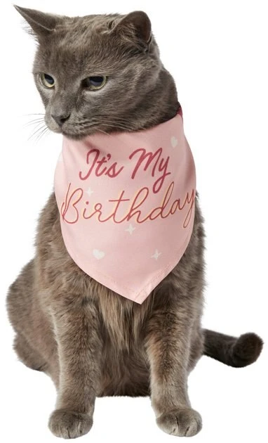 Frisco It's My Birthday Dog & Cat Bandana, Pink, X-Small/Small Frisco It's My Birthday Dog & Cat Bandana, Pink -Frisco Sales 2024 248702 PT2. SY630 V1614611844