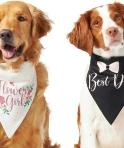 Frisco Wedding Reversible Dog & Cat Bandana -Frisco Sales 2024 248712 PT2. SY630 V1632429387