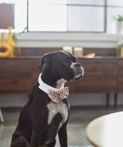 Frisco Plaid Dog & Cat Bow Tie, Orange & Blue -Frisco Sales 2024 248723 PT7. SY630 V1614362532