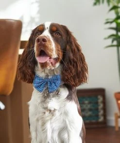 Frisco Plaid Dog & Cat Bow Tie, Blue -Frisco Sales 2024 248727 PT7. SY630 V1614362538