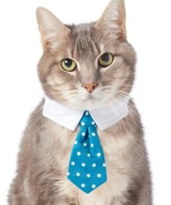 Frisco Polka Dot Dog & Cat Neck Tie -Frisco Sales 2024 248729 PT2. SY630 V1614368548