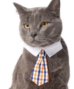 Frisco Plaid Dog & Cat Neck Tie, Orange & Blue 9 Frisco Plaid Dog & Cat Neck Tie, Orange & Blue -Frisco Sales 2024 248737 PT2. SY630 V1614365487