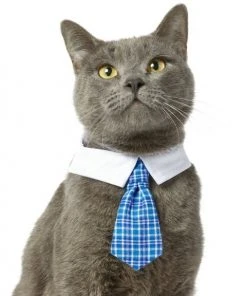 Frisco Plaid Dog & Cat Neck Tie, Blue Plaid 9 Frisco Plaid Dog & Cat Neck Tie, Blue Plaid -Frisco Sales 2024 248738 PT2. SY630 V1614365483