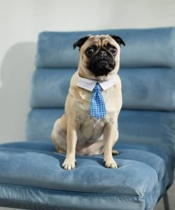 Frisco Plaid Dog & Cat Neck Tie, Blue Plaid 11 Frisco Plaid Dog & Cat Neck Tie, Blue Plaid -Frisco Sales 2024 248738 PT7. SY630 V1614366111
