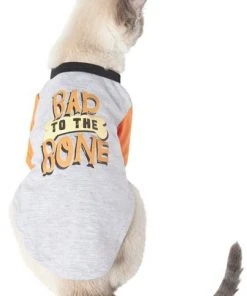 Frisco Bad to the Bone Dog & Cat T-Shirt 10 Frisco Bad to the Bone Dog & Cat T-Shirt -Frisco Sales 2024 248803 PT2. SY630 V1614119485