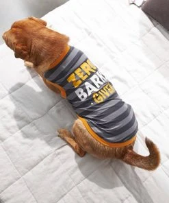 Frisco Zero Barks Given Dog & Cat T-Shirt 13 Frisco Zero Barks Given Dog & Cat T-Shirt -Frisco Sales 2024 248838 PT7. SY630 V1644451885