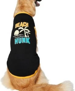 Frisco Beach Hunk Dog & Cat T-Shirt -Frisco Sales 2024 248873 PT3. SY630 V1624606656