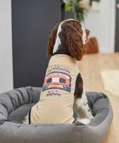 Frisco Old School Cool Dog & Cat T-Shirt -Frisco Sales 2024 248902 PT4. SY630 V1624603352