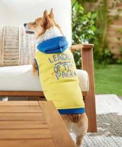 Frisco Leader of the Pack Dog & Cat Hoodie -Frisco Sales 2024 248905 PT5. SY630 V1637682701