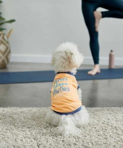 Frisco Mama's Yoga Pawtner Dog & Cat T-Shirt -Frisco Sales 2024 248966 PT4. SY630 V1624592860