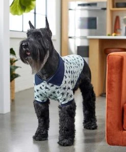 Frisco Sea Turtles Dog & Cat Polo Shirt -Frisco Sales 2024 248984 PT6. SY630 V1624593457