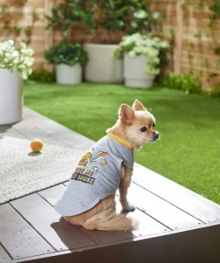 Frisco Give Me My Space Dog & Cat T-Shirt -Frisco Sales 2024 249011 PT4. SY630 V1624601572