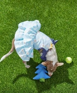 Frisco Blue Daisies Dog & Cat Dress -Frisco Sales 2024 249044 PT7. SY630 V1644464818