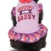 Frisco Cute & Sassy Dog & Cat Dress -Frisco Sales 2024 249072 MAIN. SY630 V1644447754