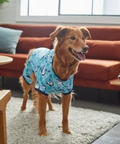 Frisco Happy Shark Dog & Cat Jersey PJs -Frisco Sales 2024 249122 PT7. SY630 V1614276183