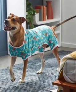 Frisco Teal Floral Dog & Cat Jersey PJs -Frisco Sales 2024 249132 PT5. SY630 V1637725019