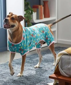 Frisco Teal Floral Dog & Cat Jersey PJs -Frisco Sales 2024 249132 PT7. SY630 V1614376401