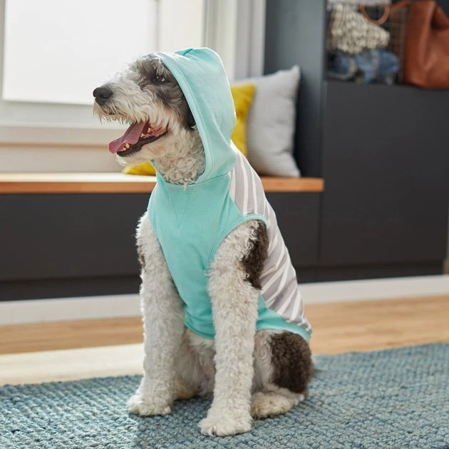 Frisco Striped Colorblock Dog & Cat Hoodie, Teal 9 Frisco Striped Colorblock Dog & Cat Hoodie, Teal - Image 7