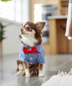 Frisco Polka Dot Chambray Dog & Cat Button Up Shirt 16 Frisco Polka Dot Chambray Dog & Cat Button Up Shirt -Frisco Sales 2024 249161 PT6. SY630 V1624613869