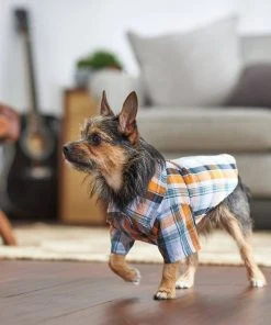Frisco Plaid Dog & Cat Button Up Shirt -Frisco Sales 2024 249173 PT7. SY630 V1614103793