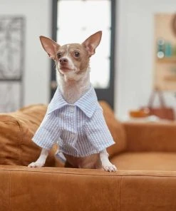 Frisco Striped Lightweight Dog & Cat Button Up Shirt -Frisco Sales 2024 249187 PT6. SY630 V1624593764
