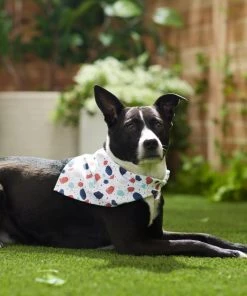 Frisco Colorful Terrazzo Dog & Cat Bandana -Frisco Sales 2024 249200 PT5. SY630 V1614612884