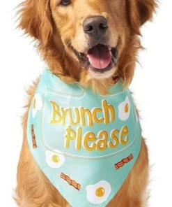 Frisco Brunch Please Dog & Cat Bandana 10 Frisco Brunch Please Dog & Cat Bandana -Frisco Sales 2024 249207 PT2. SY630 V1637720586