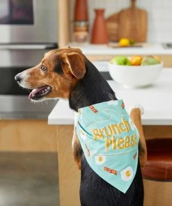Frisco Brunch Please Dog & Cat Bandana 12 Frisco Brunch Please Dog & Cat Bandana -Frisco Sales 2024 249207 PT4. SY630 V1637671044