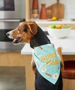 Frisco Brunch Please Dog & Cat Bandana 13 Frisco Brunch Please Dog & Cat Bandana -Frisco Sales 2024 249207 PT5. SY630 V1614612830