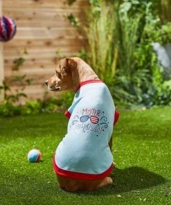 Frisco Mister Independent Dog & Cat T-Shirt 12 Frisco Mister Independent Dog & Cat T-Shirt -Frisco Sales 2024 249237 PT4. SY630 V1624612960