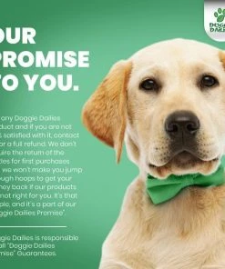 Frisco I Love Mommy Dog & Cat T-Shirt, Gray -Frisco Sales 2024 249277 PT6. SY630 V1647386806