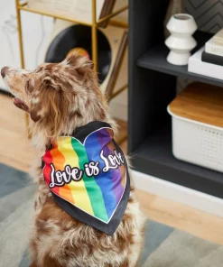Frisco Love is Love Heart Dog & Cat Bandana -Frisco Sales 2024 249289 PT5. SY630 V1614656856