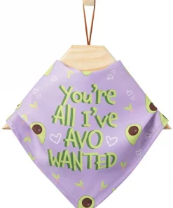 Frisco You're All I've Avo Wanted Dog & Cat Bandana