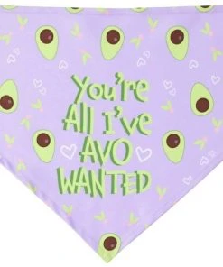 Frisco You're All I've Avo Wanted Dog & Cat Bandana 11 Frisco You're All I've Avo Wanted Dog & Cat Bandana -Frisco Sales 2024 249292 PT3. SY630 V1637705814
